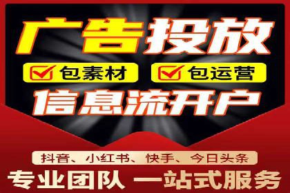 SEM代运营案例分析：精准投放策略解析